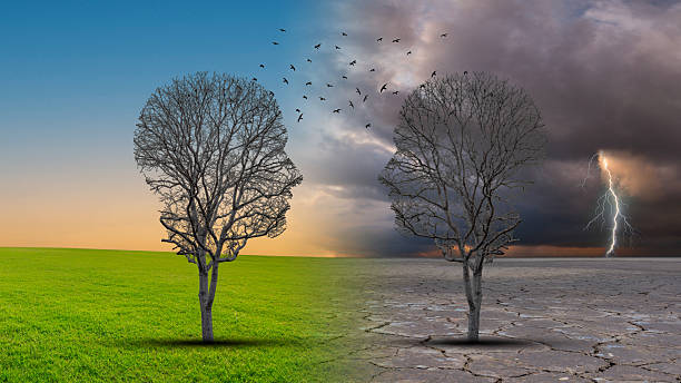 istock Communication exchange business partnership and teamwork symbol as two human heads made of tree and birds connected together as a symbol of network relationships and nature cooperation. 2216321639