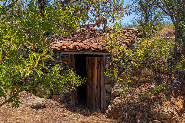 Old hut overgrown by bushes on La Palma, Canary Islands, Spain