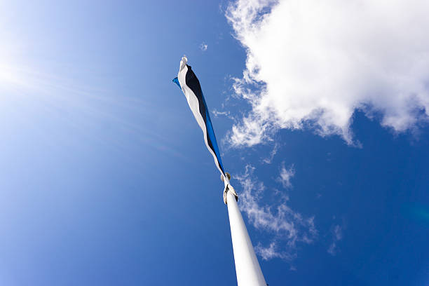 Festive blue white flags against the sky with clouds.