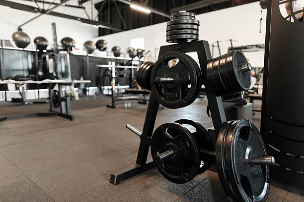 Interior of modern gym with rack of various barbell discs on vertical stand, copy space