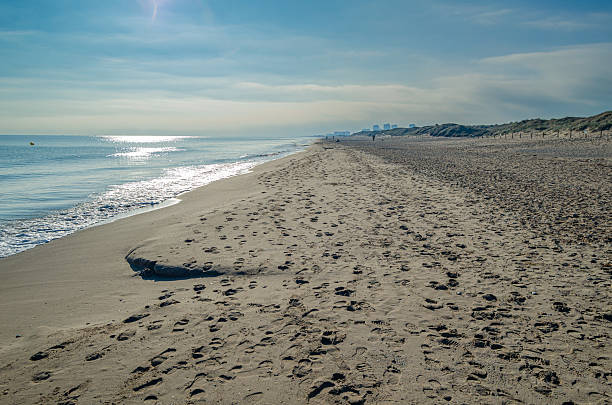 istock View of Saler Beach, Valencia, Spain 2216341827