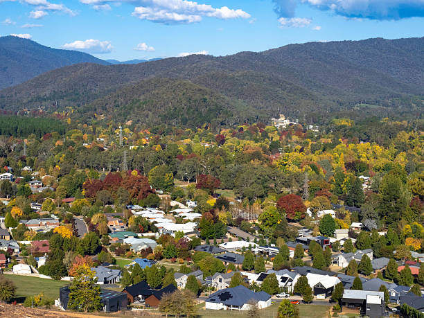 istock High angle view of houses and trees 2216343579