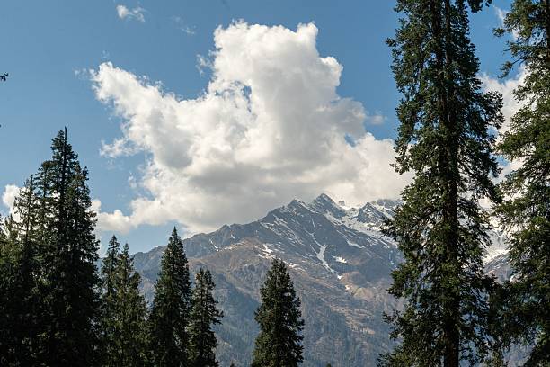 istock Snow-capped mountains framed by pine trees 2216345618