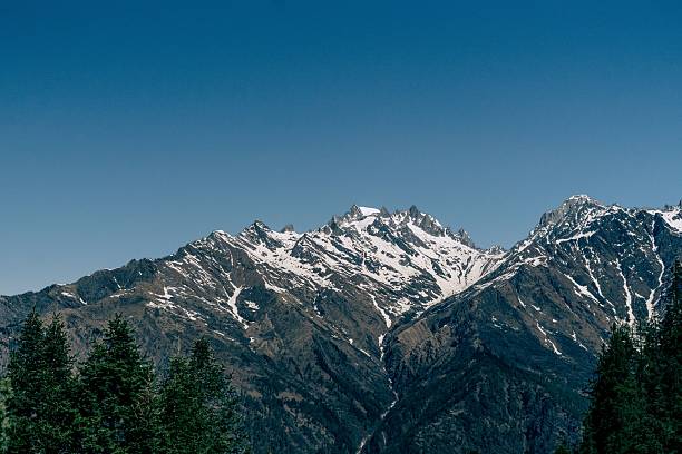 A stunning mountain landscape with snow-capped peaks under a clear blue sky, framed by green pine trees.
