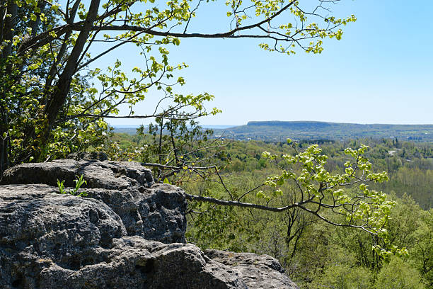 View from Buffalo Crag Lookout