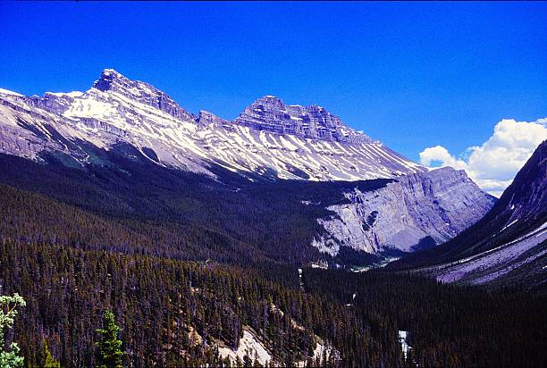 Icefields Parkway Jasper National Park Alberta Canada July 1991