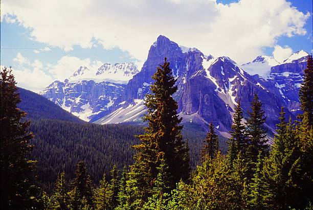 istock Jasper National Park July 1991 2216350551