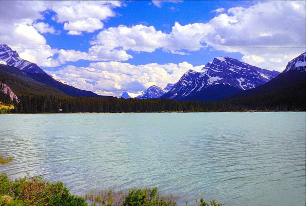 istock Athabasca Pass Area Jasper National Park Alberta Canada July 1991 2216350568