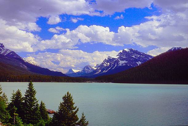 istock Athabasca Pass Area Jasper National Park Alberta Canada July 1991 2216350570