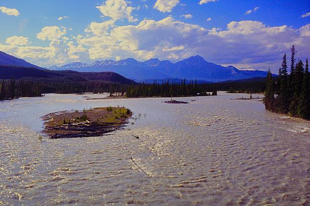 Athabasca River Jasper National Park Alberta Canada July 1991