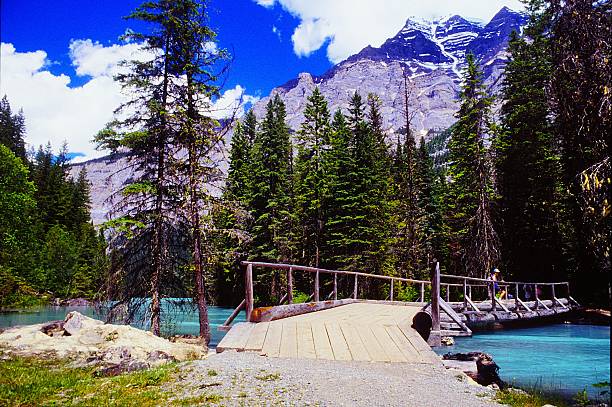 istock Mt Robson Provincial Park British Columbia 2216350583