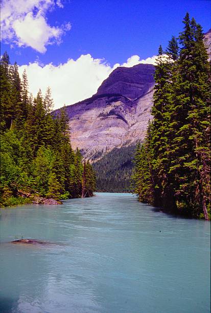 istock Mt Robson Provincial Park British Columbia 2216350584