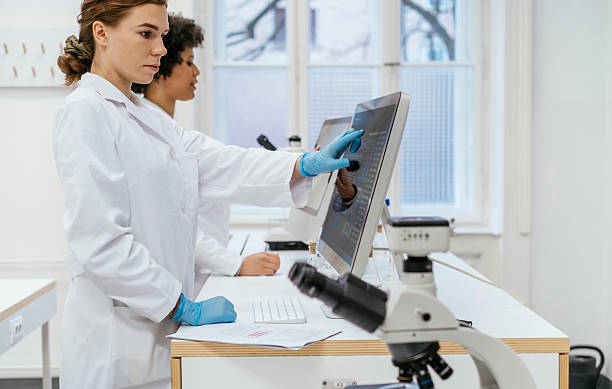 istock Focused Female Scientists Working in a Modern University Laboratory 2216352207