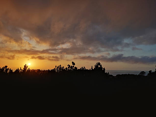 Dramatic sunset featuring silhouetted trees against a colorful sky. Evokes themes of nature, peace, tranquility, and the beauty of twilight. Ideal for travel, and inspirational content.