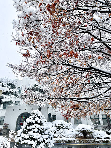 istock Snow Day Morning at the School Campus 2216365628