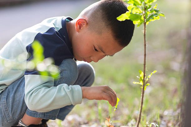 istock Little asian boy playing in the park. 2216365800