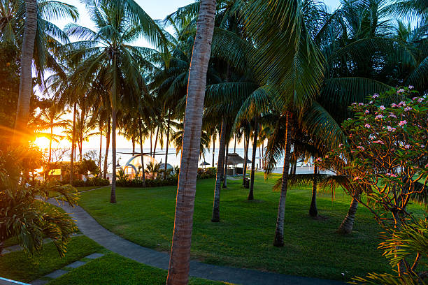 istock Palm trees and sunset at tropical beach resort 2216369160