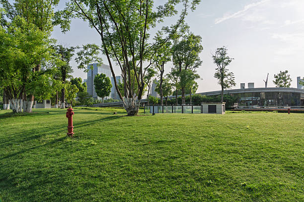 Green grass and city skyline