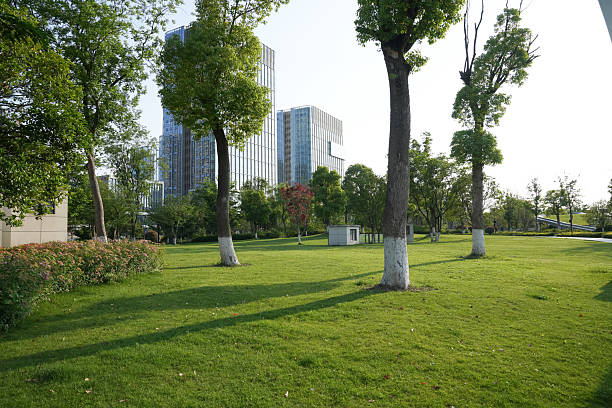 istock Green grassland with city skyline 2216370541