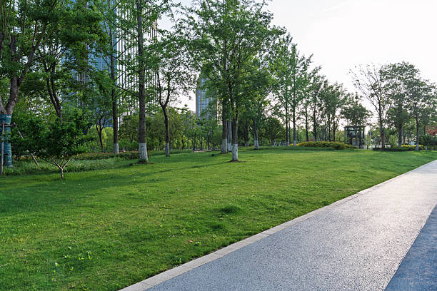 road in city park