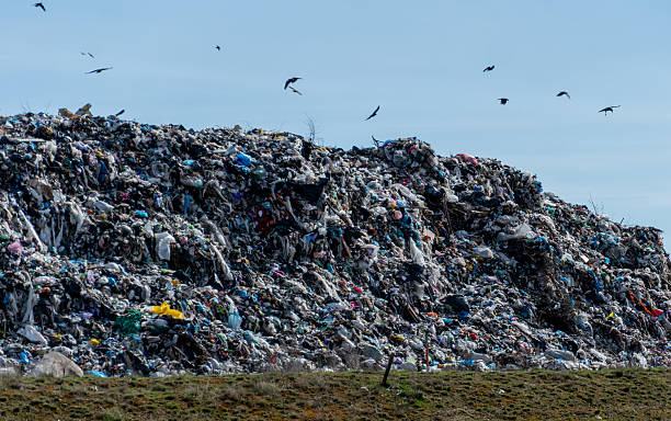 istock Overflowing Landfill with Plastic Waste and Seabirds in Flight Under a Clear Sky 2216370845