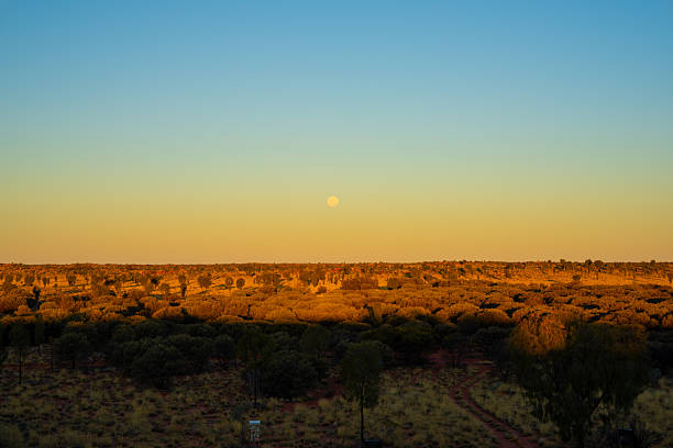Small hills  and flat landscape in the savannah of the Northern Territory of Australia, with dry grass and small shrubs.