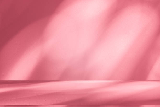 istock Wall interior background, studio, and backdrops show products. with shadow from window color white and pink light. background for text insertion and presentation of product 2216372758