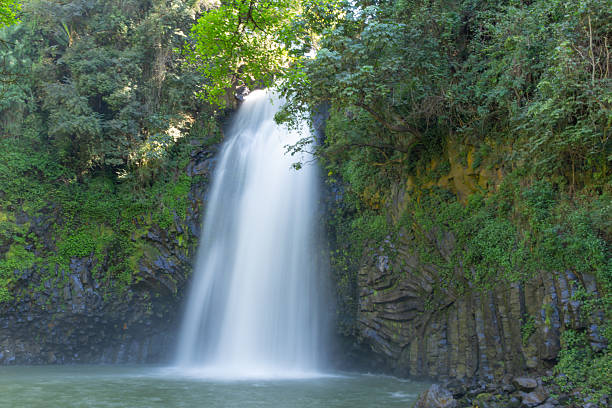 istock waterfall cascading down lush green cliff into a pool below 2216379431