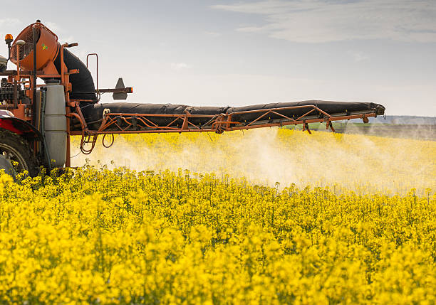 istock Tractor spraying yellow oilseed field 2216387903