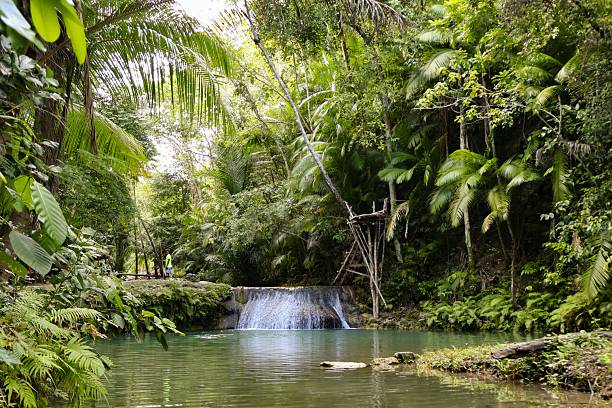 istock Tropical jungle with waterfall and lush greenery. 2216389166