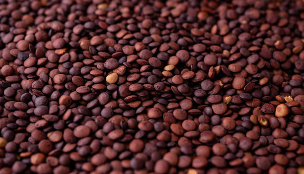 istock Organic uncooked seeds dark red brown lentils. 2216391494