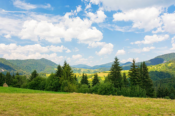 istock mountainous carpathian countryside scenery in summer 2216396198