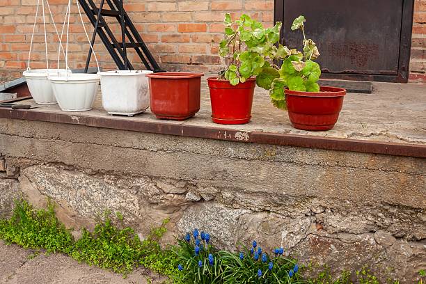 Two pretty geraniums in wall-hanging flower pots.
