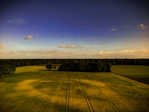 Field with long shadows in the morning, blue sky with few clouds, agriculture, grain field in the morning in the municipality of Hude, Lower Saxony, Germany