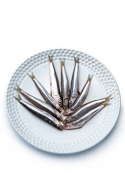 Fresh raw European anchovy on a white plate isolated on a white background. High Angle view, studio shot.