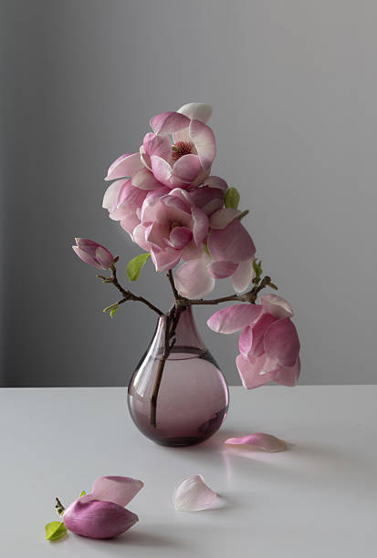 istock magnolia wreath in glass vase on wall background 2216403761
