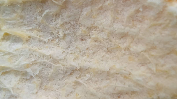 istock Close-up view of a textured surface. 2216404545