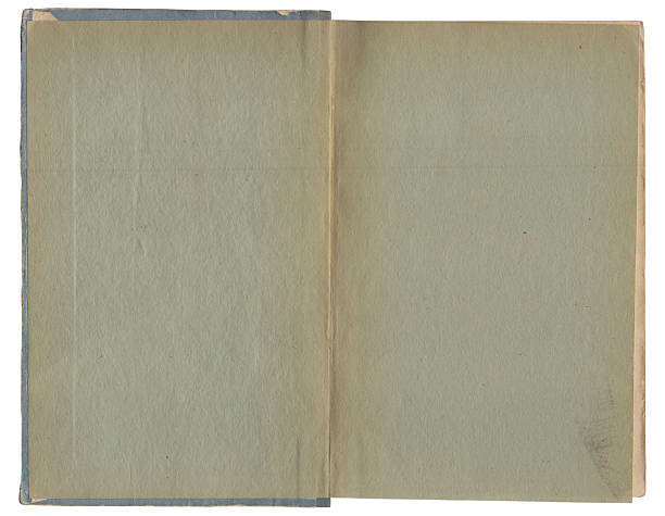 istock Vintage empty background of old book paper texture isolated 2216408179