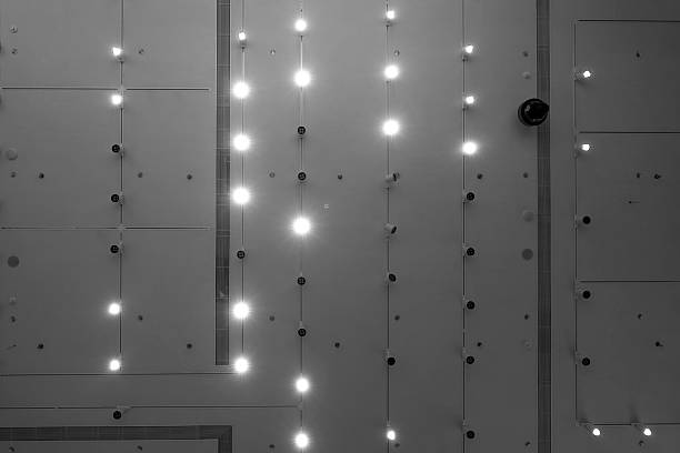 Ceiling with lights in the exhibition hall