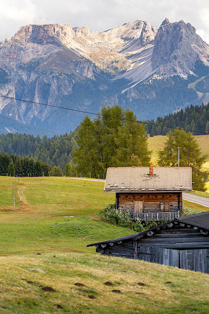 istock Dolomites Alpe di Siusi, Italy landscape, autumn 2216414465