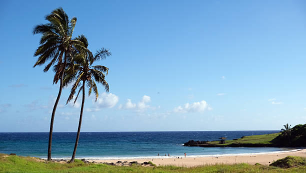 Anakena Beach  located on Easter Island (Rapa Nui) captures the perfect tropical paradise, where the azure Pacific Ocean meets pristine white sands. The gentle waves lap against the shore, creating a soothing rhythm that enhances the serene atmosphere. Towering palm trees sway softly in the warm breeze, framing the scene with their lush greenery. This breathtaking view invites you to relax and unwind, offering a glimpse of the natural beauty and tranquility.