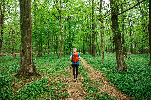 istock Woman with backpack hiking through green forest 2216423641