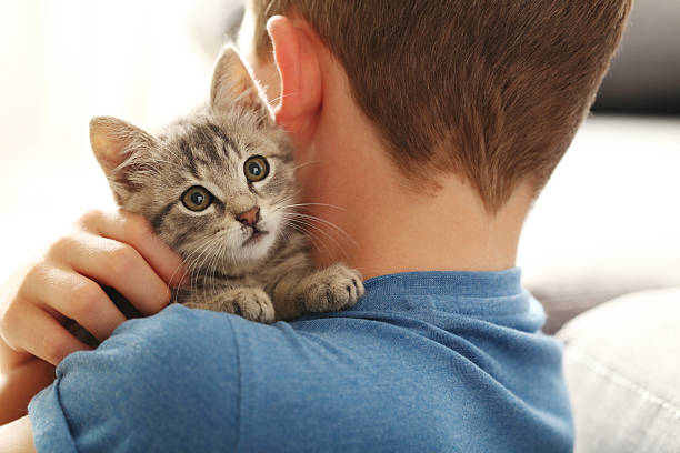 istock Child with kitten on hands at home 2216428847