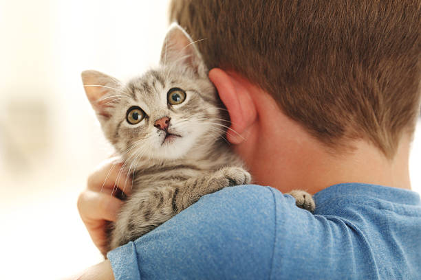 istock Child with kitten on hands at home 2216429006