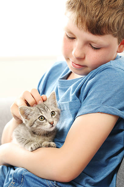 istock Child with kitten on grey sofa at home 2216429080