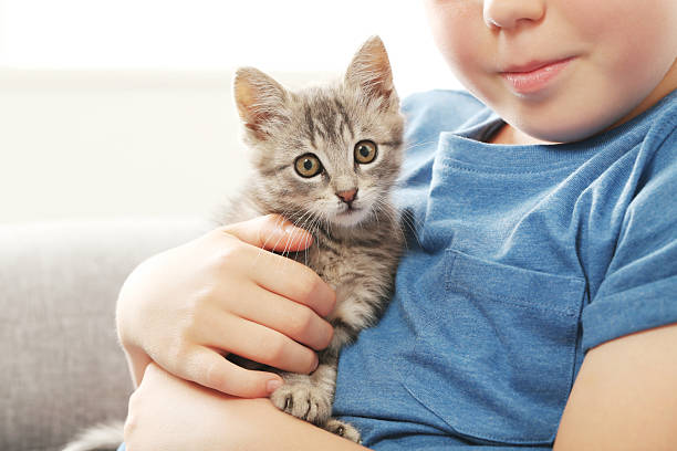 istock Child with kitten on grey sofa at home 2216429258