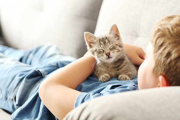 istock Child with kitten on grey sofa at home 2216429321
