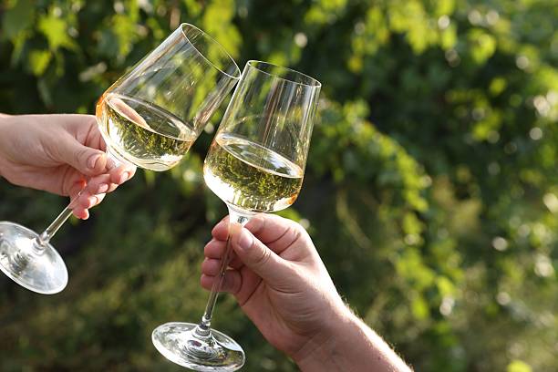 istock Couple clinking glasses of wine outdoors, closeup. Space for text 2216471750