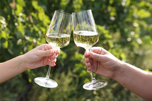istock Couple clinking glasses of wine outdoors, closeup 2216471994