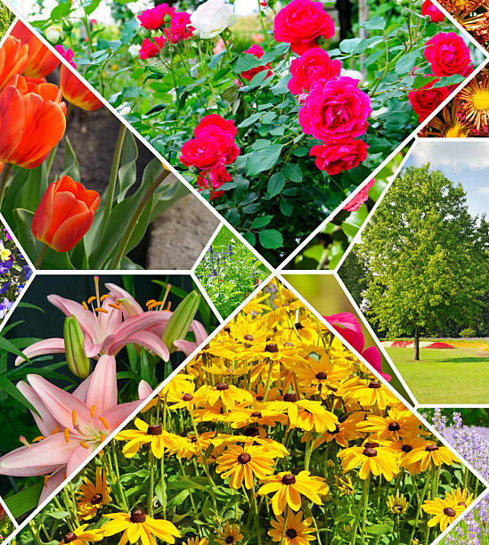 istock Flowerbeds in gardens and parks. Collage. 2216474218